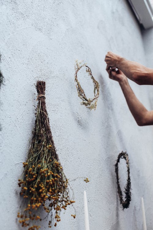 Crop person hanging wreaths on wall