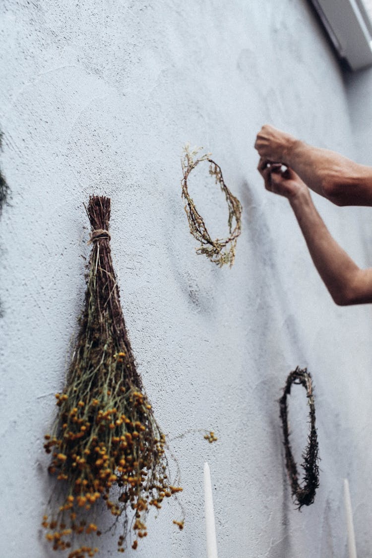 Crop Person Hanging Wreaths On Wall