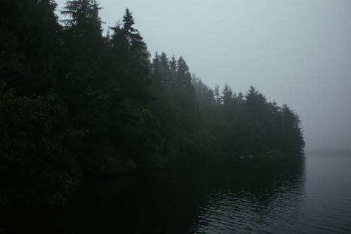 Dramatic view of mixed forest over calm surface of lake against gray gloomy sky with foggy horizon line