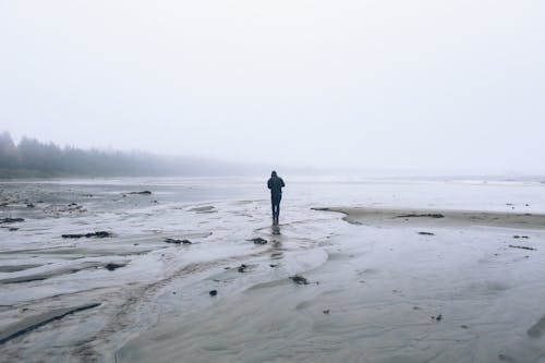 Gratis stockfoto met achteraanzicht, achtergrond, afgelegen