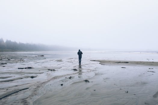 薄雾笼罩的海滩上，一个人独自走着，唤起孤独与平静
