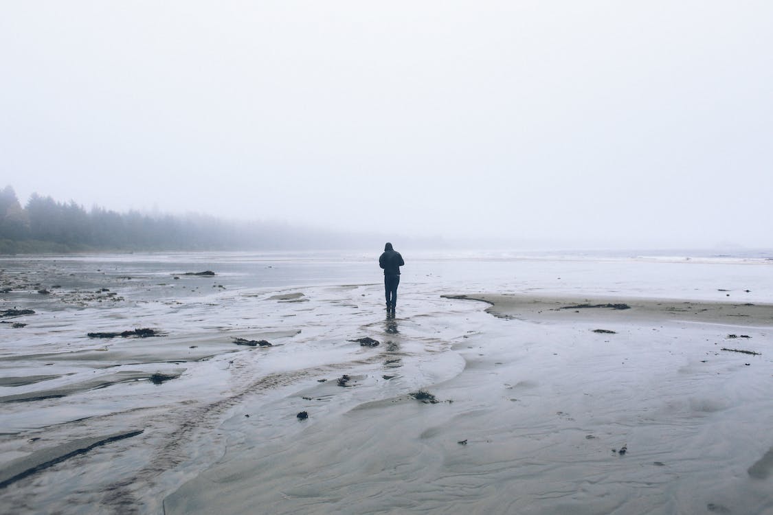 Free Person walking alone on a misty beach, evoking solitude and calmness. Stock Photo