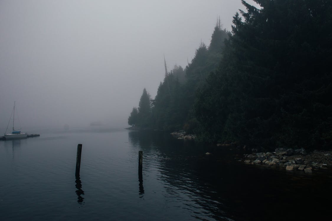 Small boat on calm lake near coast with forest