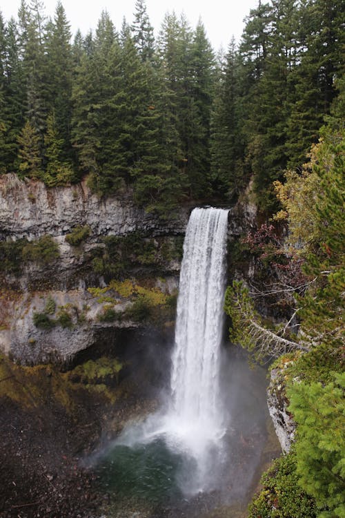 Amazing waterfall between rocky cliffs with green forest