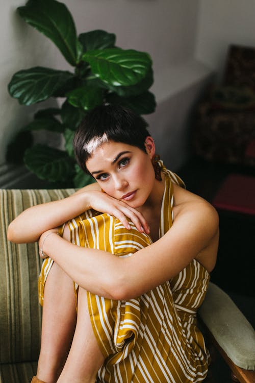 Free Young female with short haircut in trendy striped dress looking at camera on sofa near plant with green leaves Stock Photo