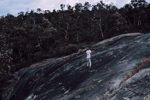 A lone figure stands atop a rocky hill in a vast, tranquil forest setting.