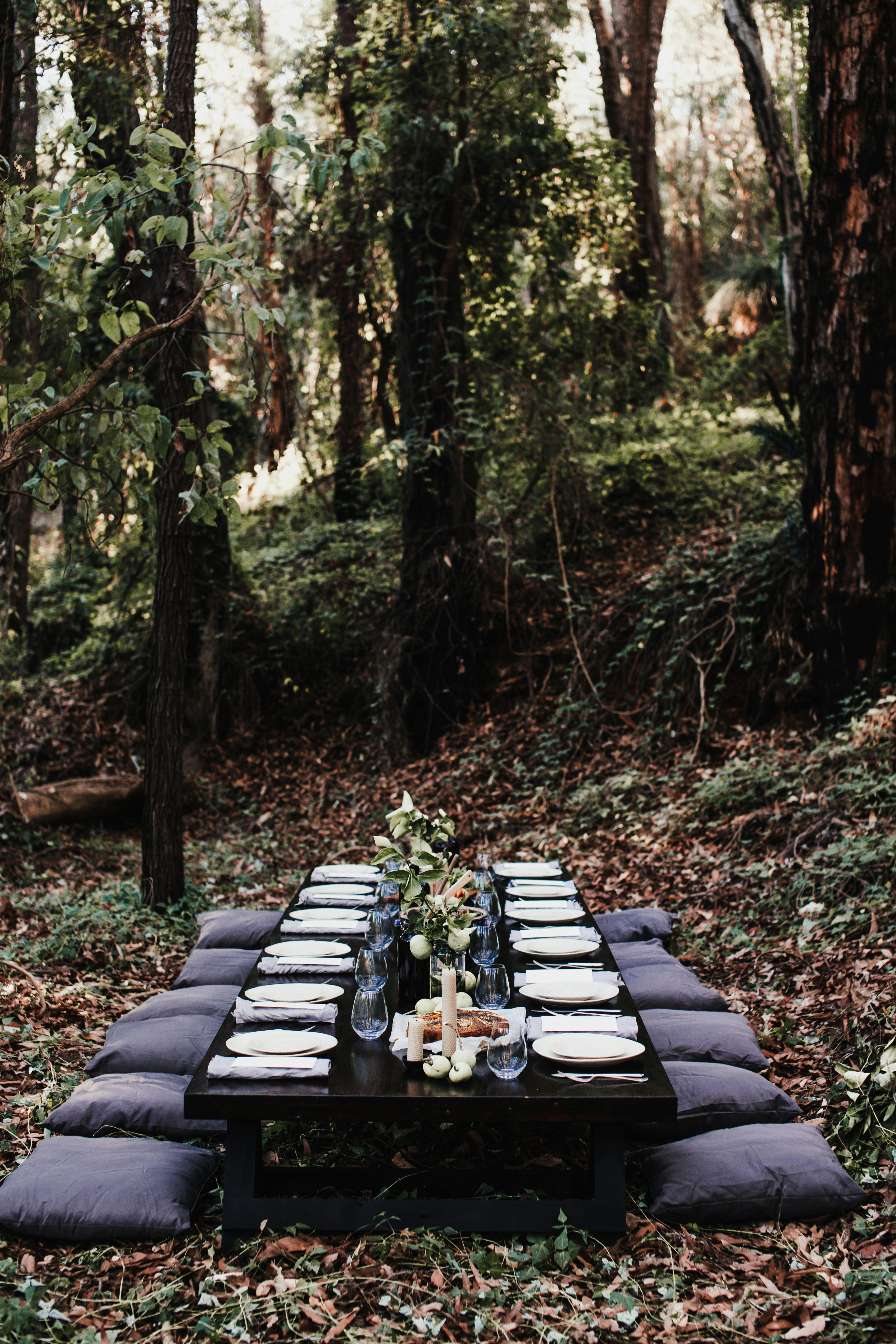 table set on lawn in forest