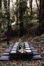 Table set on lawn in forest