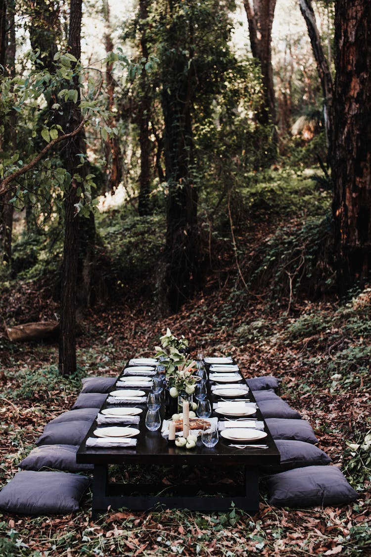 Table Set On Lawn In Forest