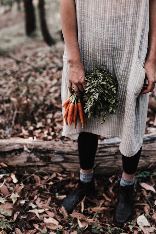 Woman carrying fresh carrots with green leaves