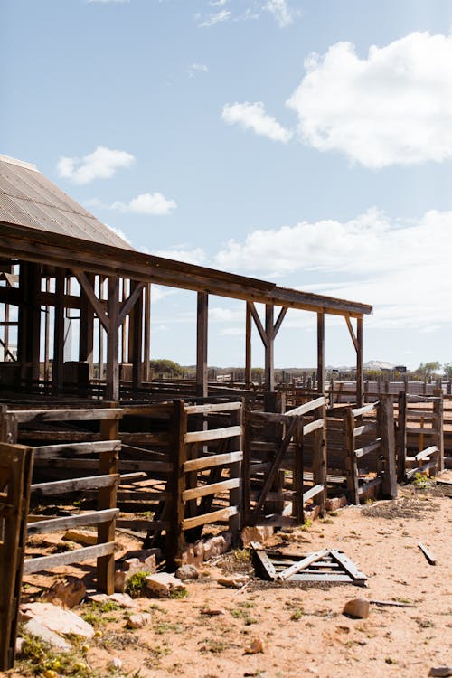 Destroyed wooden barn on sandy terrain in sunlight