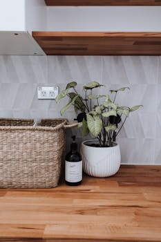Stylish kitchen setup featuring a potted plant and wicker basket on a wooden counter.