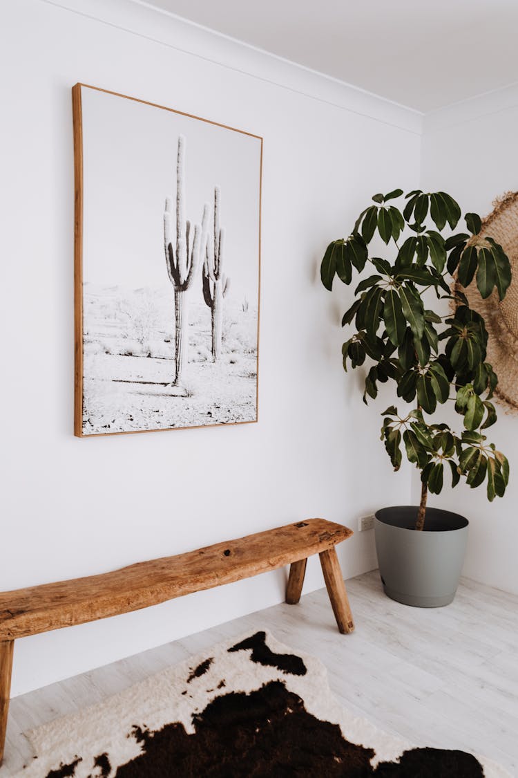 Interior Of Modern Apartment With Potted Plant And Painting