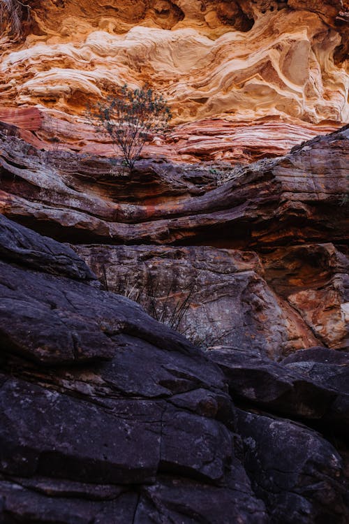 Low angle of high stone slope of rocky mountain with rough surface and dry plants in highland