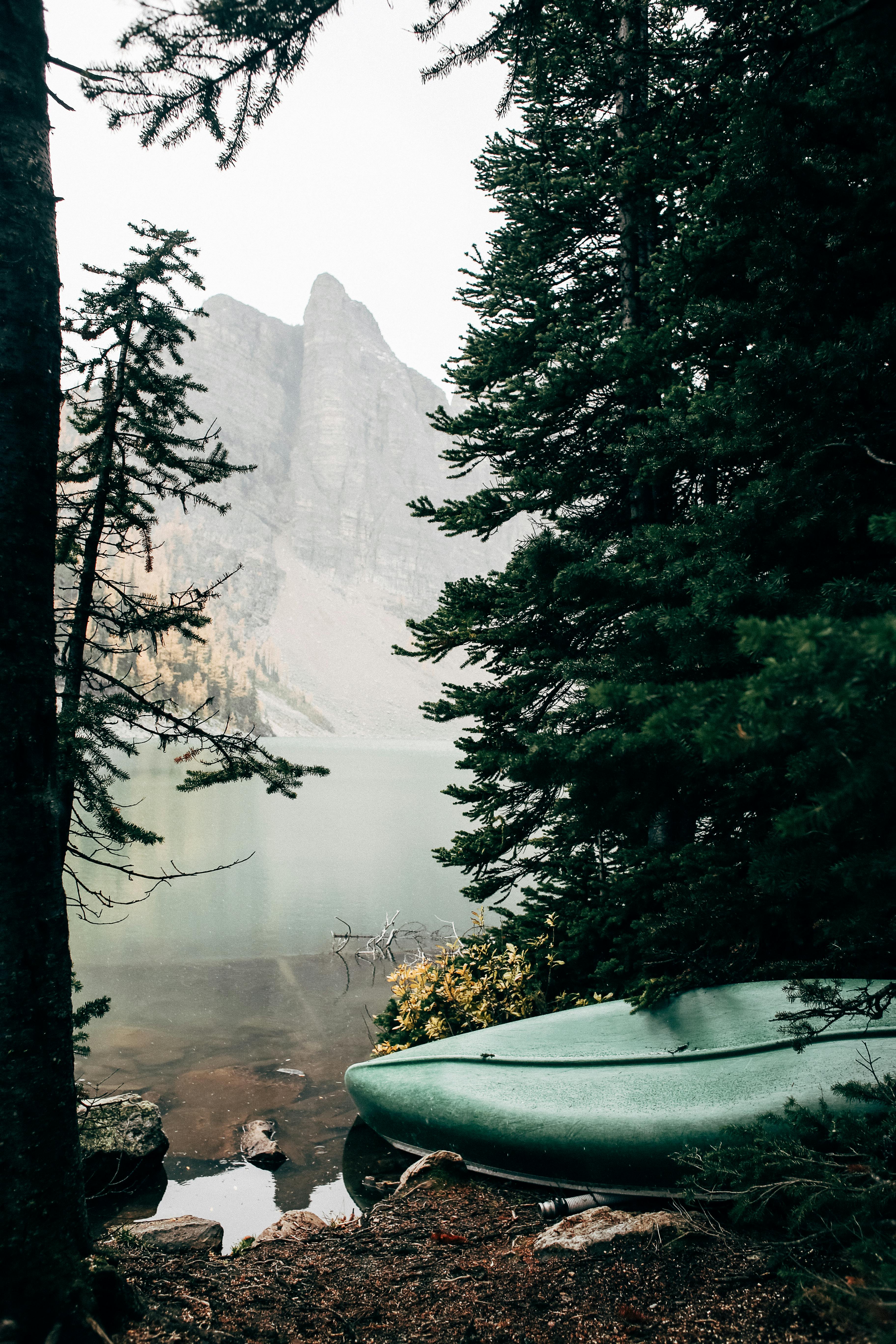 平静的湖泊四周环绕着常绿的森林和山脉，岸边停着独木舟