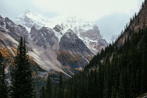 Free Picturesque scenery of mountain range with snowy tops located among coniferous forest in highland Stock Photo