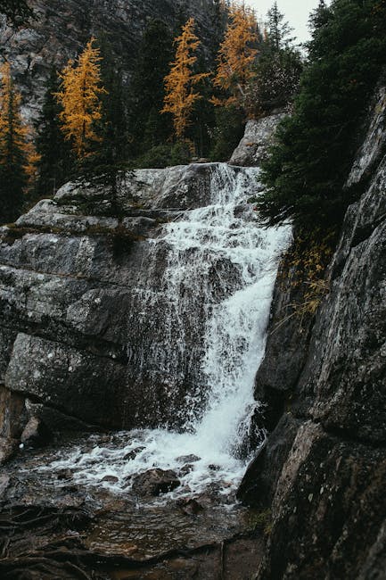 GeeFi (GEE) Presale Heats Up: Nearly 10% of Phase 2 Allocation Sells Out Fast GeeFi (GEE) Presale Heats Up: Nearly 10% of Phase 2 Allocation Sells Out Fast