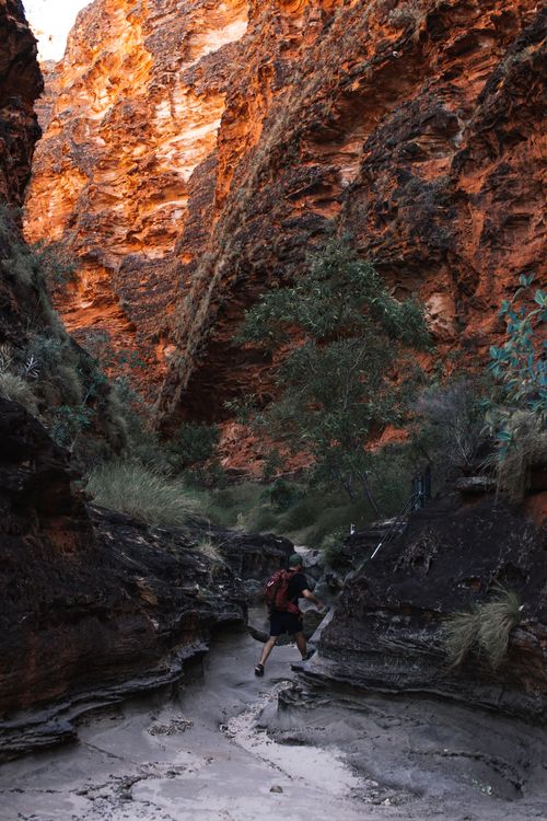 Free Back view of unrecognizable male traveler in casual clothes walking on rough narrow path among massive rocky mountains in Purnululu National Park on sunny day Stock Photo