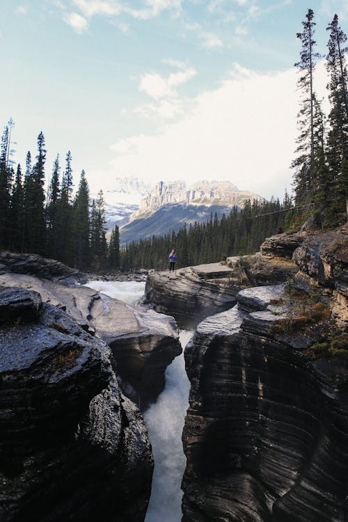 Rapid river flowing among rocky formations surrounded by coniferous trees in mountainous valley