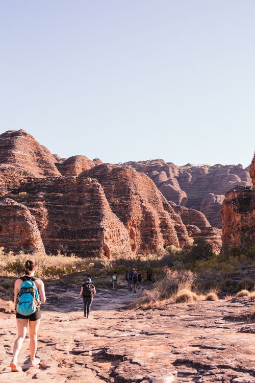 Free Back view group of anonymous hikers walking on dry terrain near Bungle Bungle range in Purnululu National Park on sunny day Stock Photo