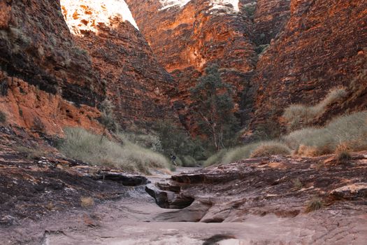 Picturesque scenery of dray plants growing near rough sandstone mountains of Bungle Bungle Range located in Purnululu National Park on sunny day