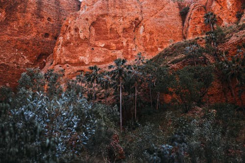 Rocky formations near green trees