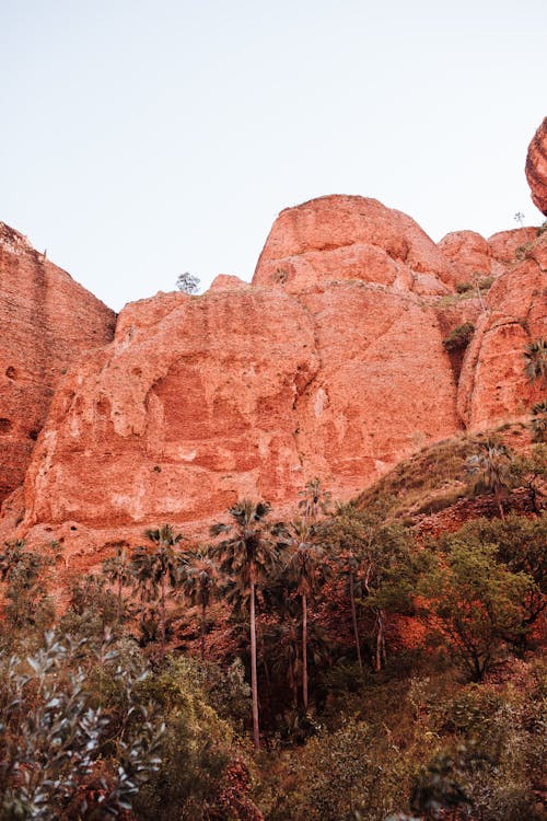 Massive steep rocky formations with rough surface located near lush green trees against cloudless sky in nature in national park