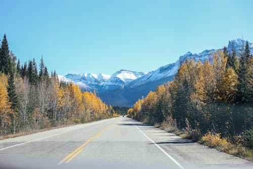Empty straight asphalt roadway between colorful trees against blue sky and mountain ridge with peaks covered with snow in nature