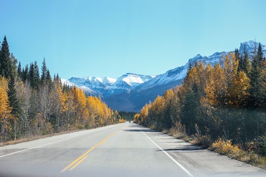 Empty straight asphalt roadway between colorful trees against blue sky and mountain ridge with peaks covered with snow in nature