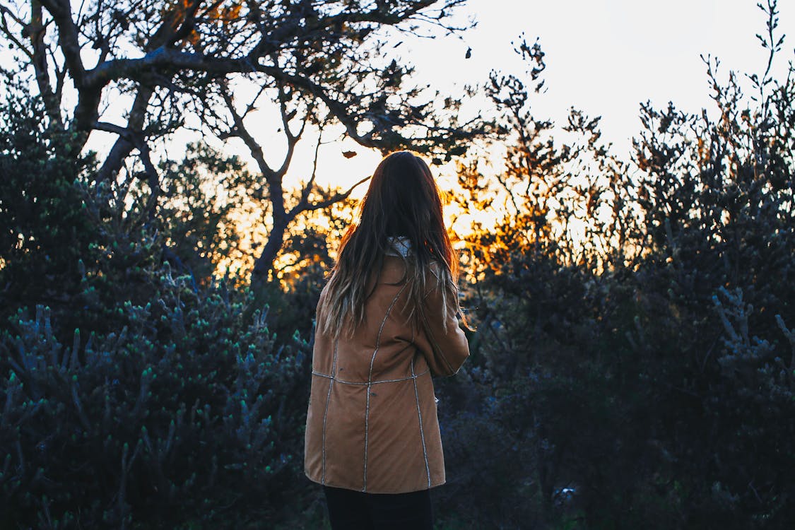 Free Back view of unrecognizable female tourist with long hair in stylish warm clothes standing near lush green trees and enjoying sunset time in nature Stock Photo