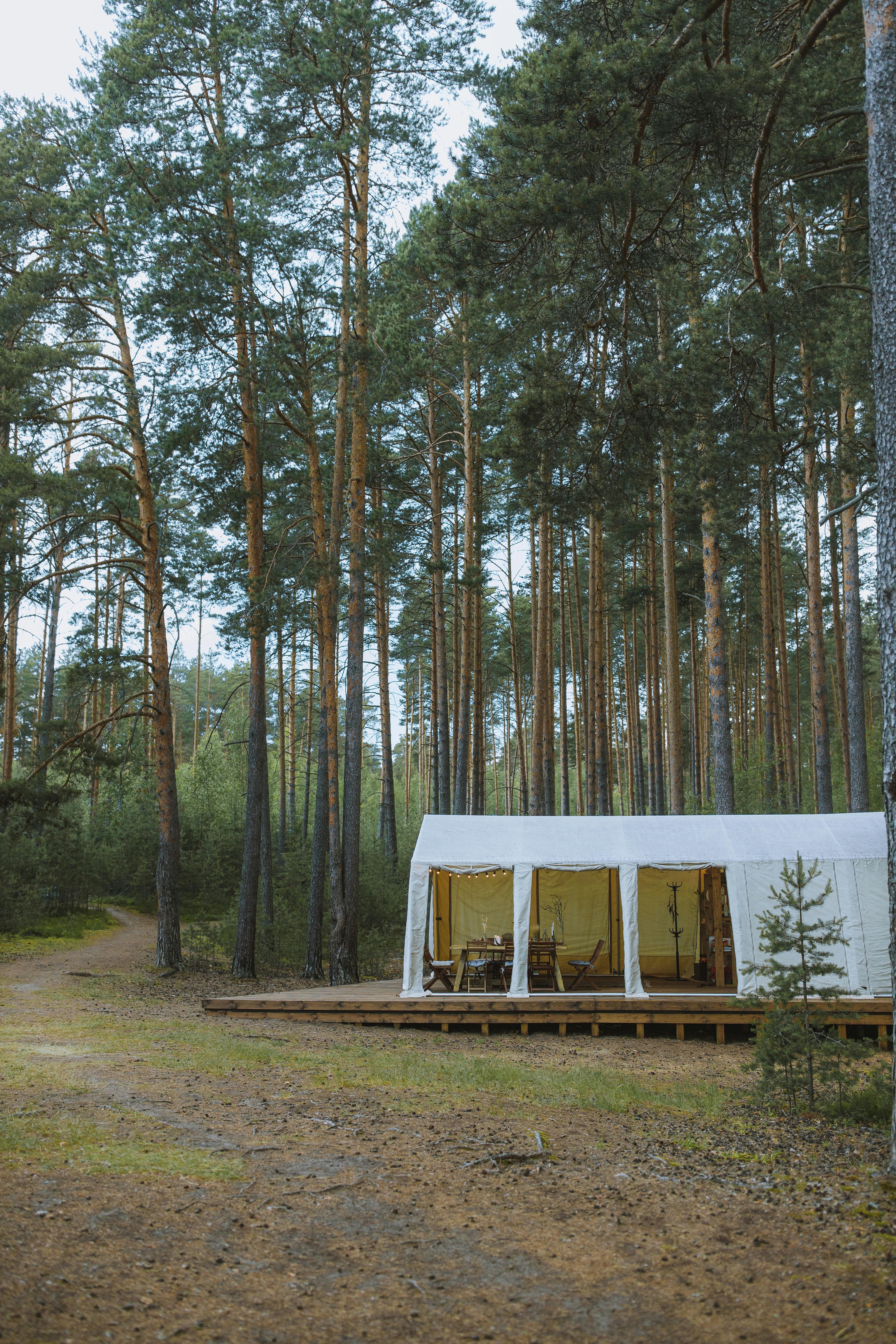 white tent in the middle of the woods
