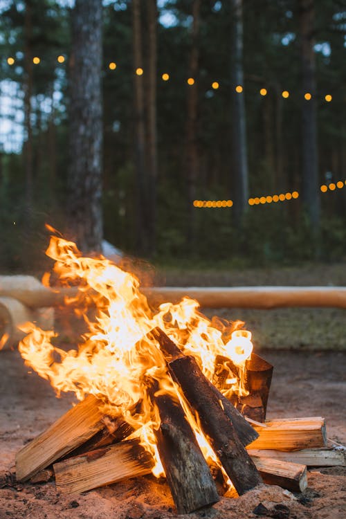 Gratis stockfoto met bonfire, brandend, brandhout