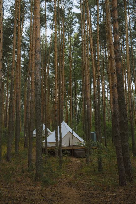 A spacious family camping tent set up at a quiet forest campsite with camp chairs and pine trees in the background