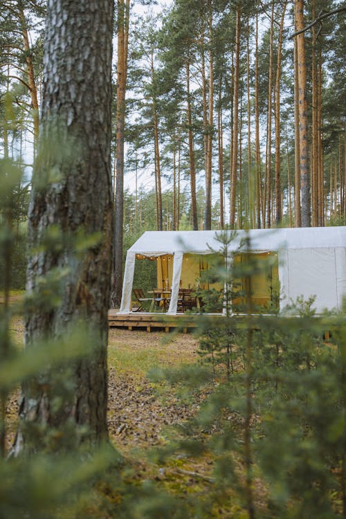 Free White Tent in the Middle of the Woods Stock Photo