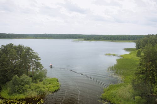 Бесплатное стоковое фото с болотистая местность, болото, вода