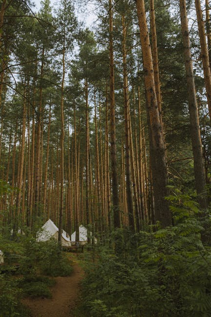Rustic yurt at a provincial park campsite