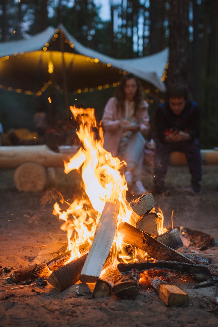 People Sitting Around Bonfire During Nighttime