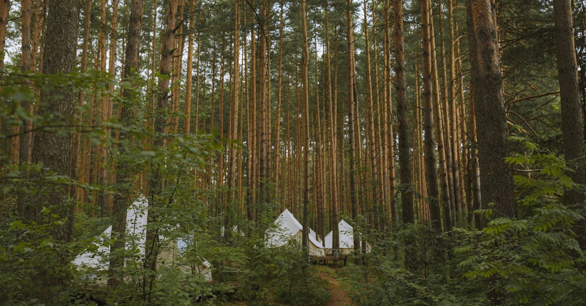 Camping de Luxe : Une Tendance à Découvrir