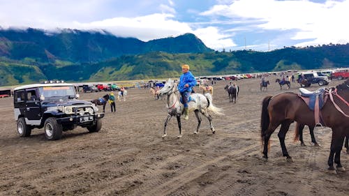 Foto stok gratis bromo, bukit, gunung berapi aktif