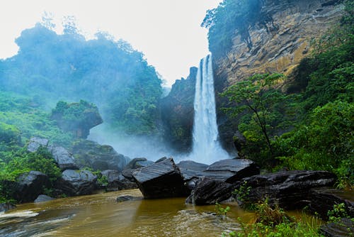 Foto stok gratis air terjun, alam, sri lanka