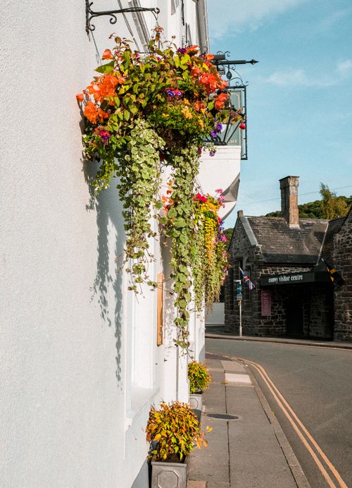Free White decorated building with potted colorful plants against black stone house in sunny day Stock Photo