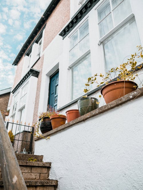 Free Potted Plants on a Windowsill of a House Stock Photo
