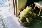 Welcome Ubud Basket
