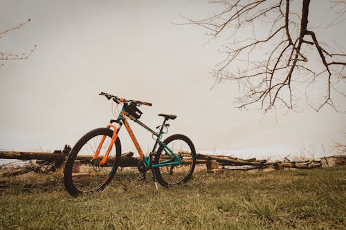 Foto profissional grátis de árvore sem folhas, bicicleta de montanha, campo de grama