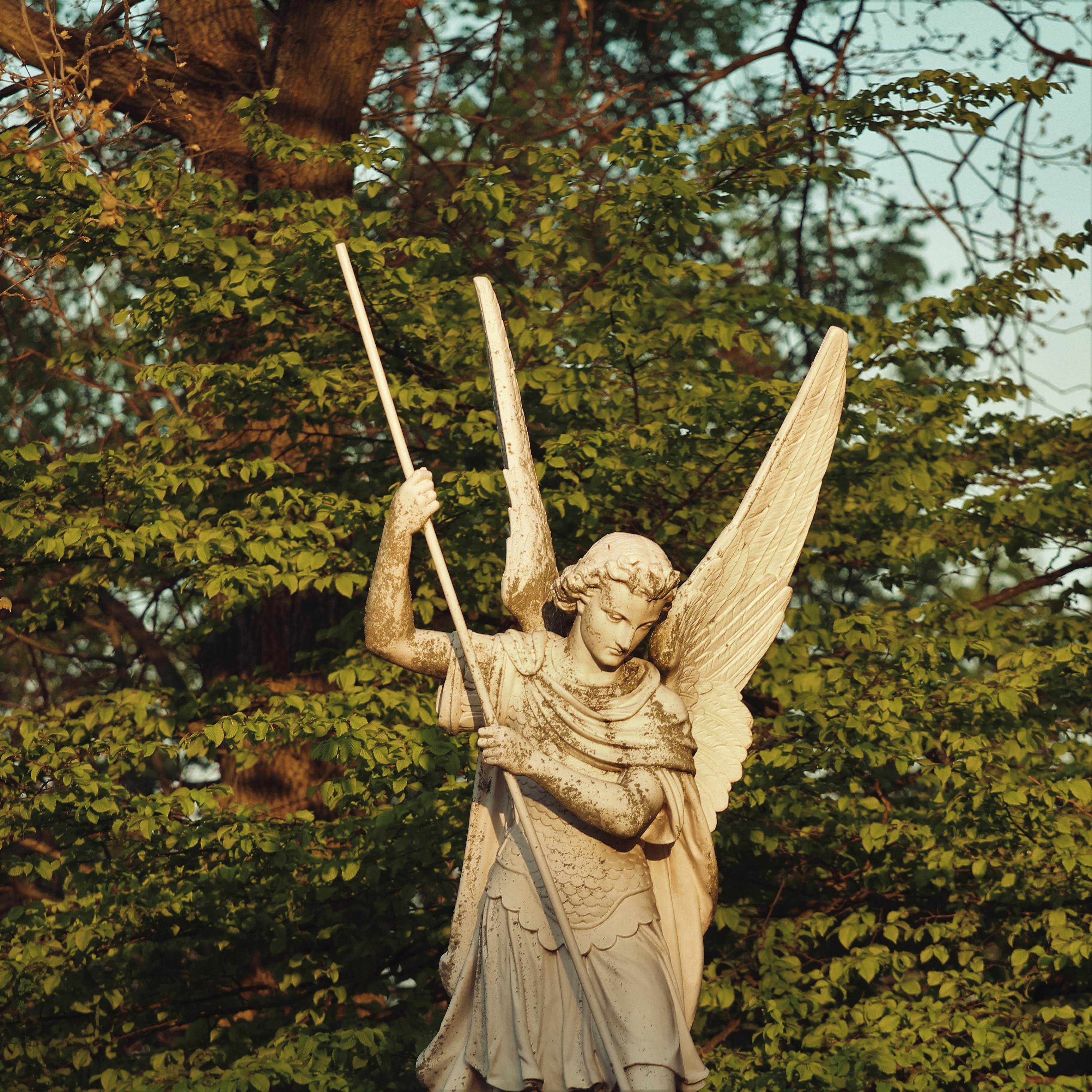 Angel Statue Near Tree with Green Leaves