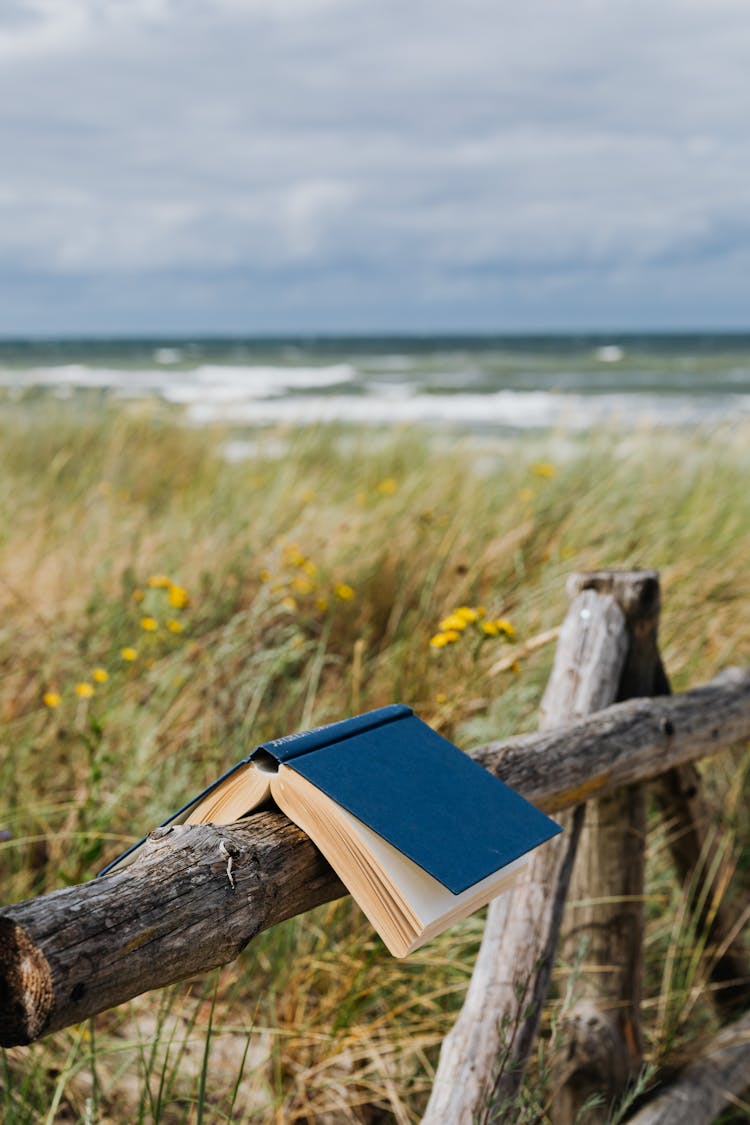 Blue Book On Brown Wooden Log