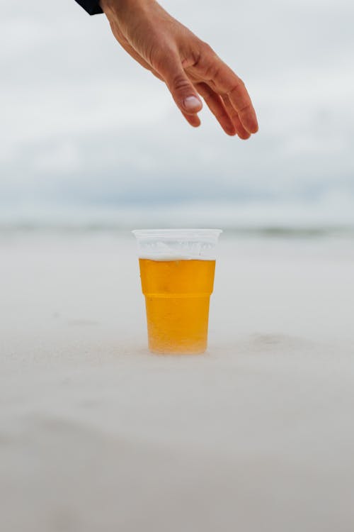 Základová fotografie zdarma na téma alkohol, léto, mezinárodní pivní den