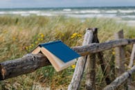 一本蓝色封面的书摊开地躺在海滩边的木栅栏上，背景是野草和海浪