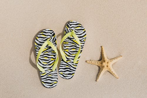 Flip Flops and a Starfish on Sand