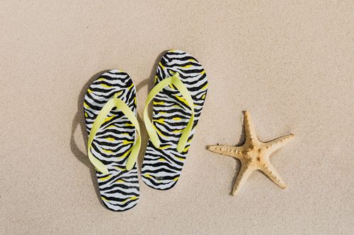 Free Bright flip flops with zebra print and starfish on a sandy beach, perfect for summer vibes. Stock Photo
